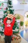 Merry Christmas 2024 - Ghi dấu mùa Giáng sinh an lành Hoa Trạng Nguyên